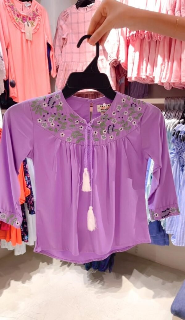 Embroidered Tunic top