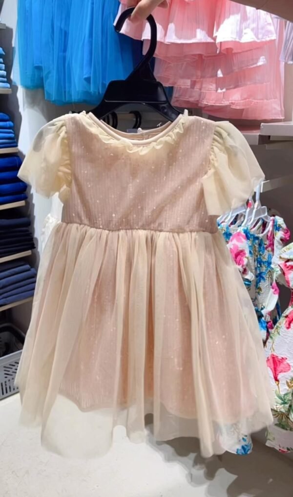 Party Dress