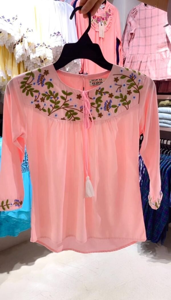 Embroidered Tunic top